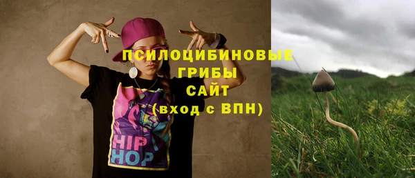 дурь Алзамай