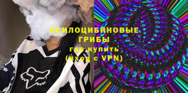 дурь Алзамай