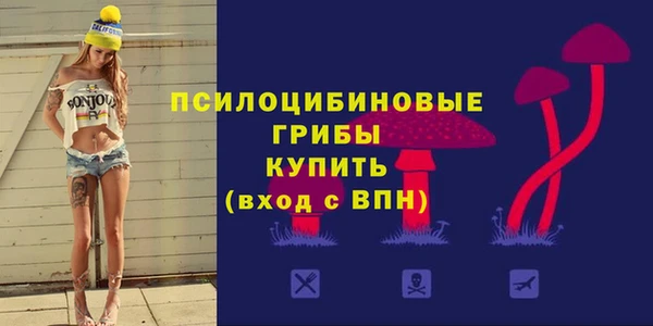 дурь Алзамай
