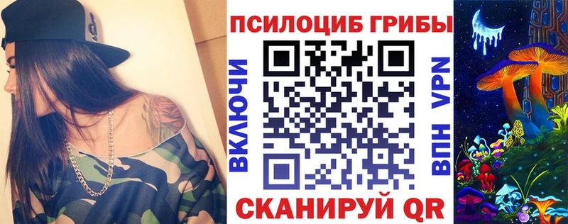 Псилоцибиновые грибы Psilocybe  Инсар 